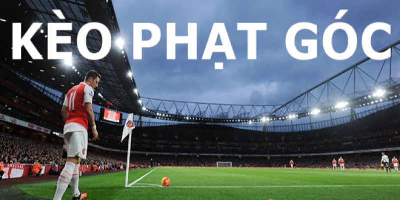 Một số loại kèo phổ biến trên thị trường cá cược bóng đá